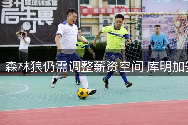 森林狼仍需调整薪资空间 库明加签约遇阻碍