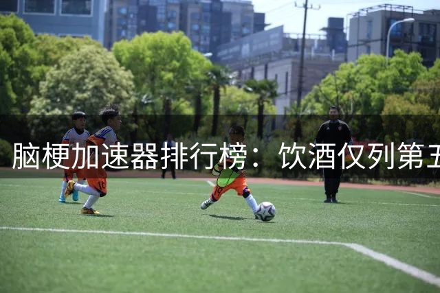 脑梗加速器排行榜：饮酒仅列第五 榜首行为多数人不知