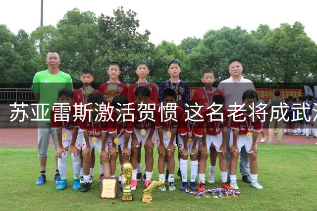 苏亚雷斯激活贺惯 这名老将成武汉三镇后防中坚
